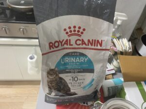 cat food