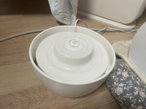 cat water fountains